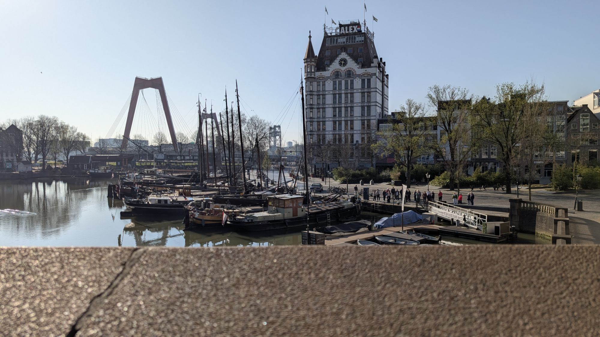 Wild Rotterdam architecture – Travels with Owen